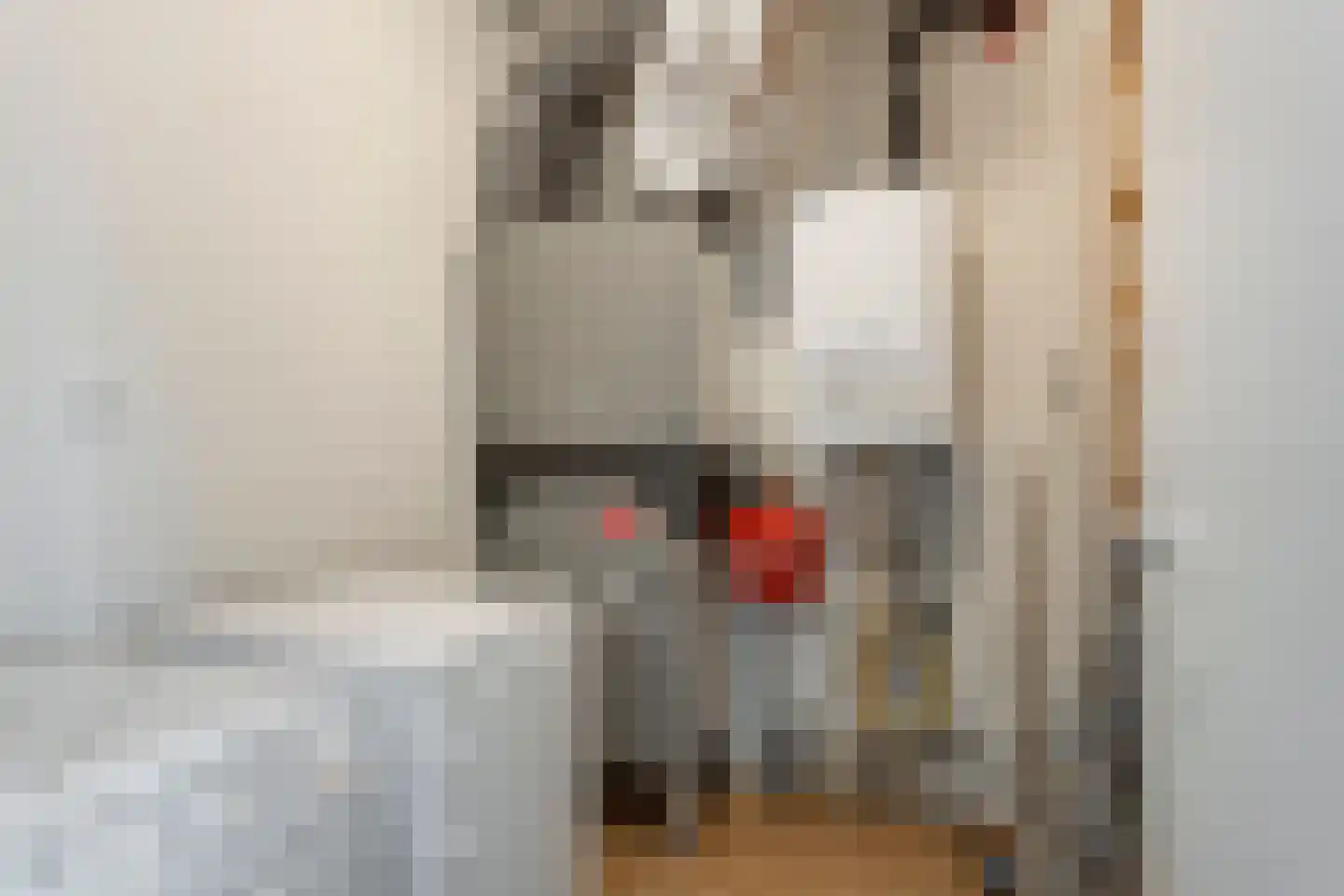 Achter de Cattentoren 27 Roermond thumbnail 31