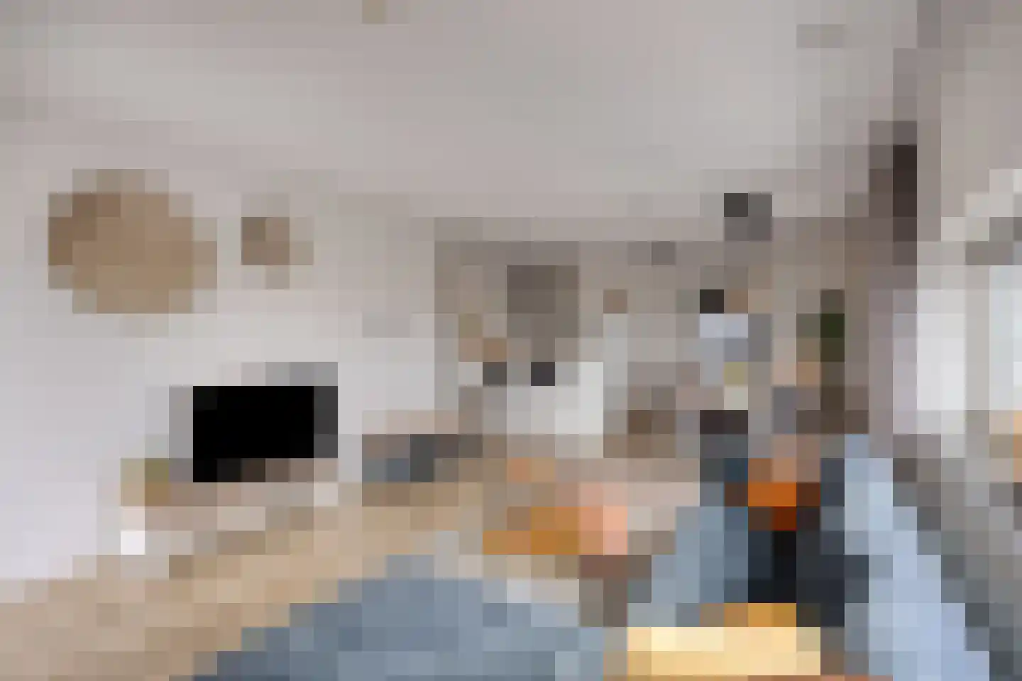 Achter de Cattentoren 33 Roermond thumbnail 28