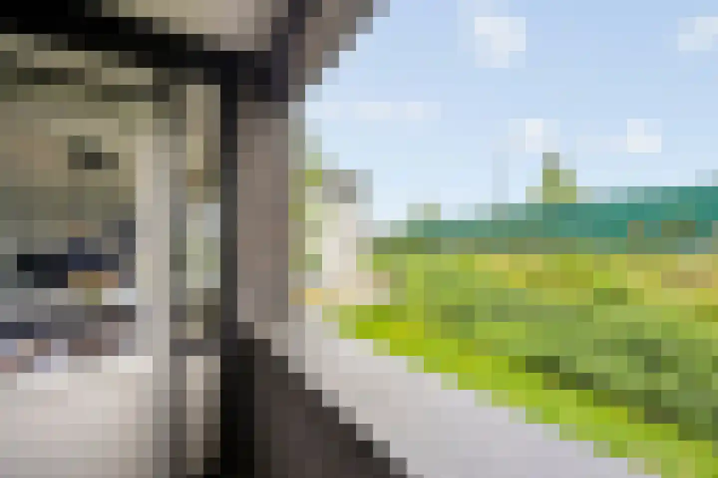 Achter de Cattentoren 42 Roermond thumbnail 5