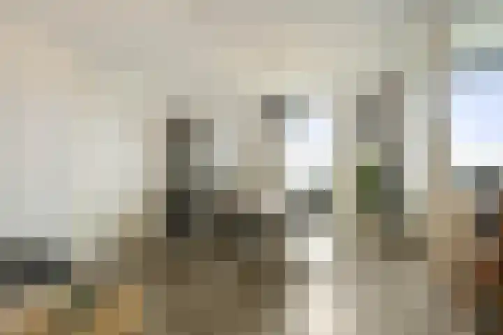 Achter de Cattentoren 48 Roermond thumbnail 11
