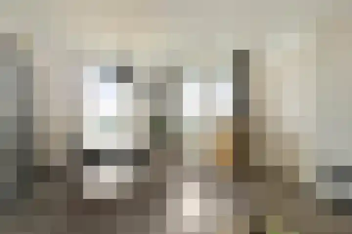 Achter de Cattentoren 48 Roermond thumbnail 12
