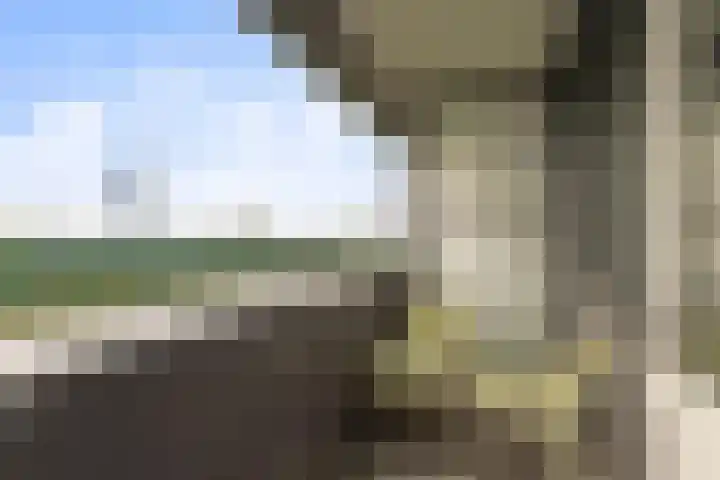 Achter de Cattentoren 48 Roermond thumbnail 13
