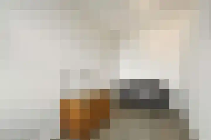 Achter de Cattentoren 48 Roermond thumbnail 16