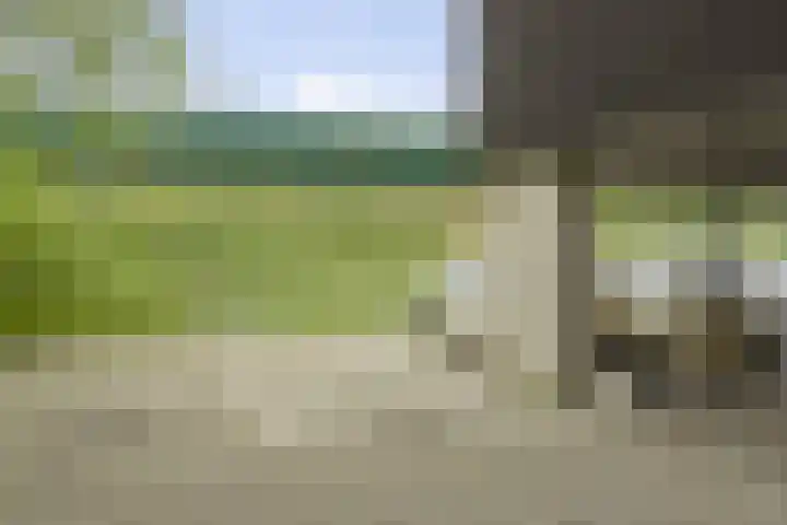 Achter de Cattentoren 48 Roermond thumbnail 19