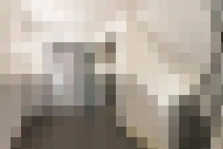 Achter de Cattentoren 48 Roermond thumbnail 4