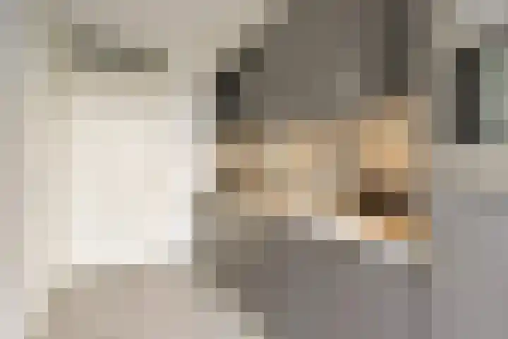 Achter de Cattentoren 48 Roermond thumbnail 5
