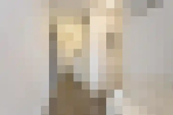 Achter de Cattentoren 48 Roermond thumbnail 7