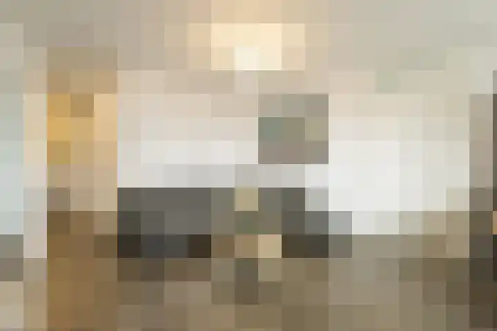 Achter de Cattentoren 48 Roermond thumbnail 8