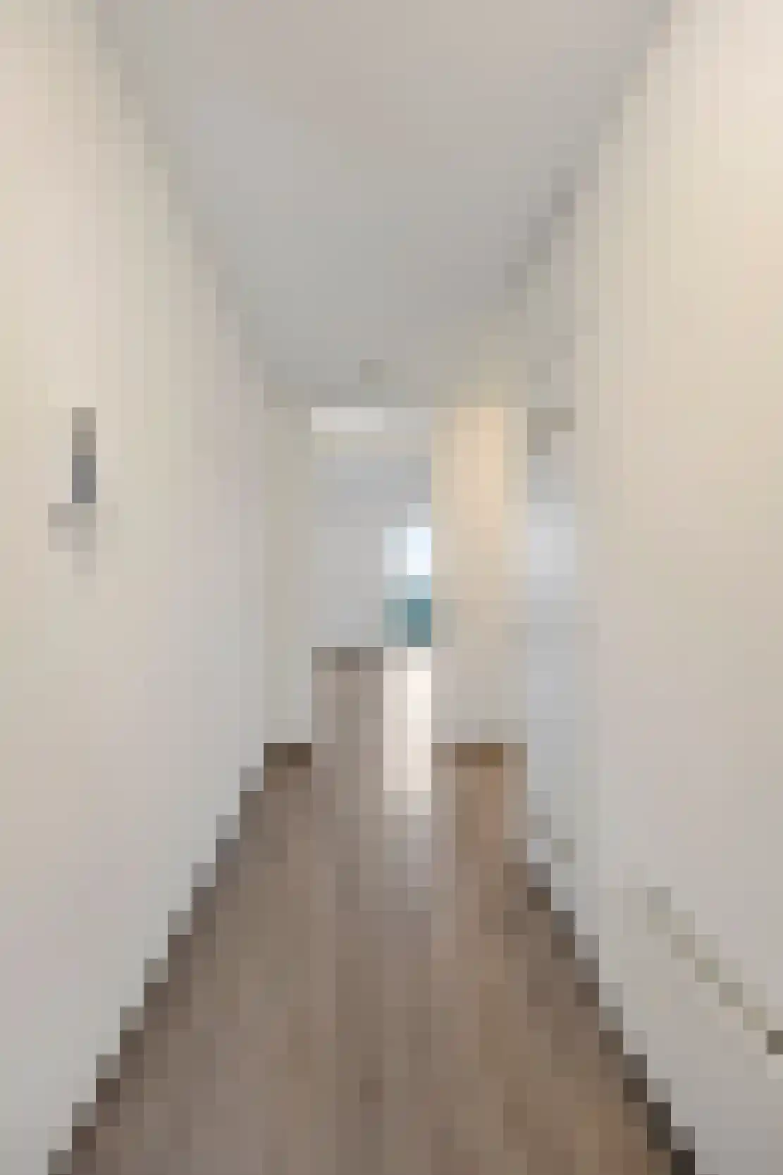 Achter de Cattentoren 52 Roermond thumbnail 22