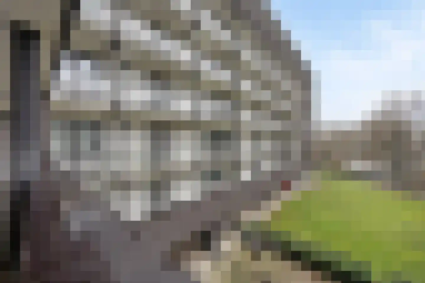 Achter de Cattentoren 52 Roermond thumbnail 5