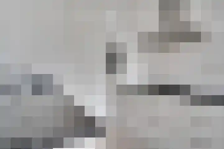 Achter de Cattentoren 6 Roermond thumbnail 12
