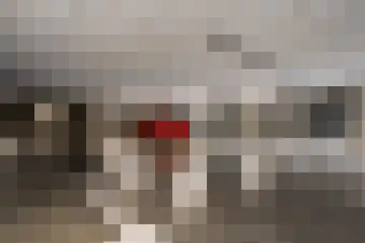 Achter de Cattentoren 6 Roermond thumbnail 23
