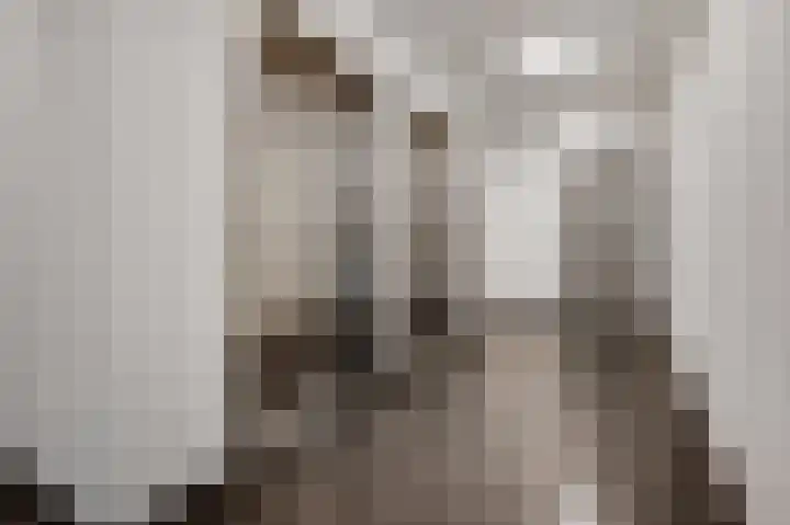 Achter de Cattentoren 6 Roermond thumbnail 5