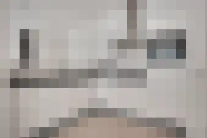 Achter de Cattentoren 82 Roermond thumbnail 10