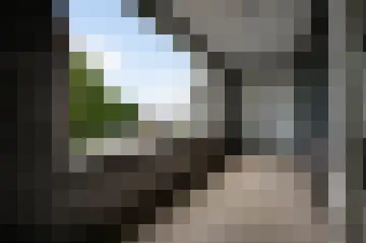 Achter de Cattentoren 82 Roermond thumbnail 16