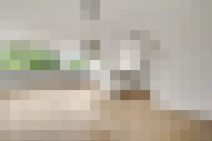 Achter de Cattentoren 85 Roermond thumbnail 6