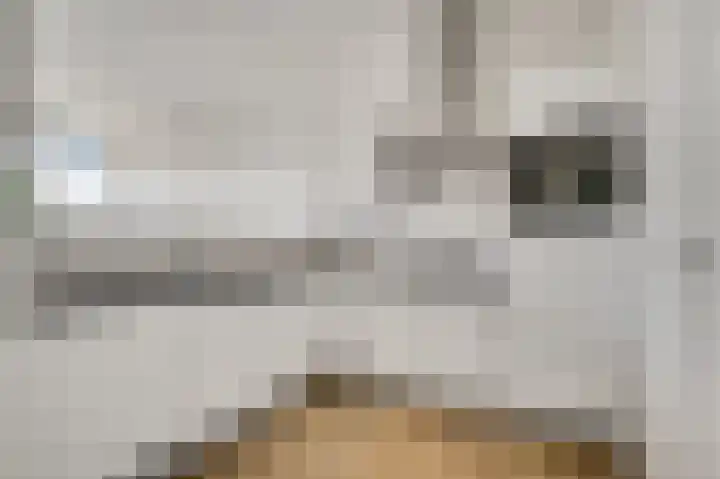 Achter de Cattentoren 85 Roermond thumbnail 9