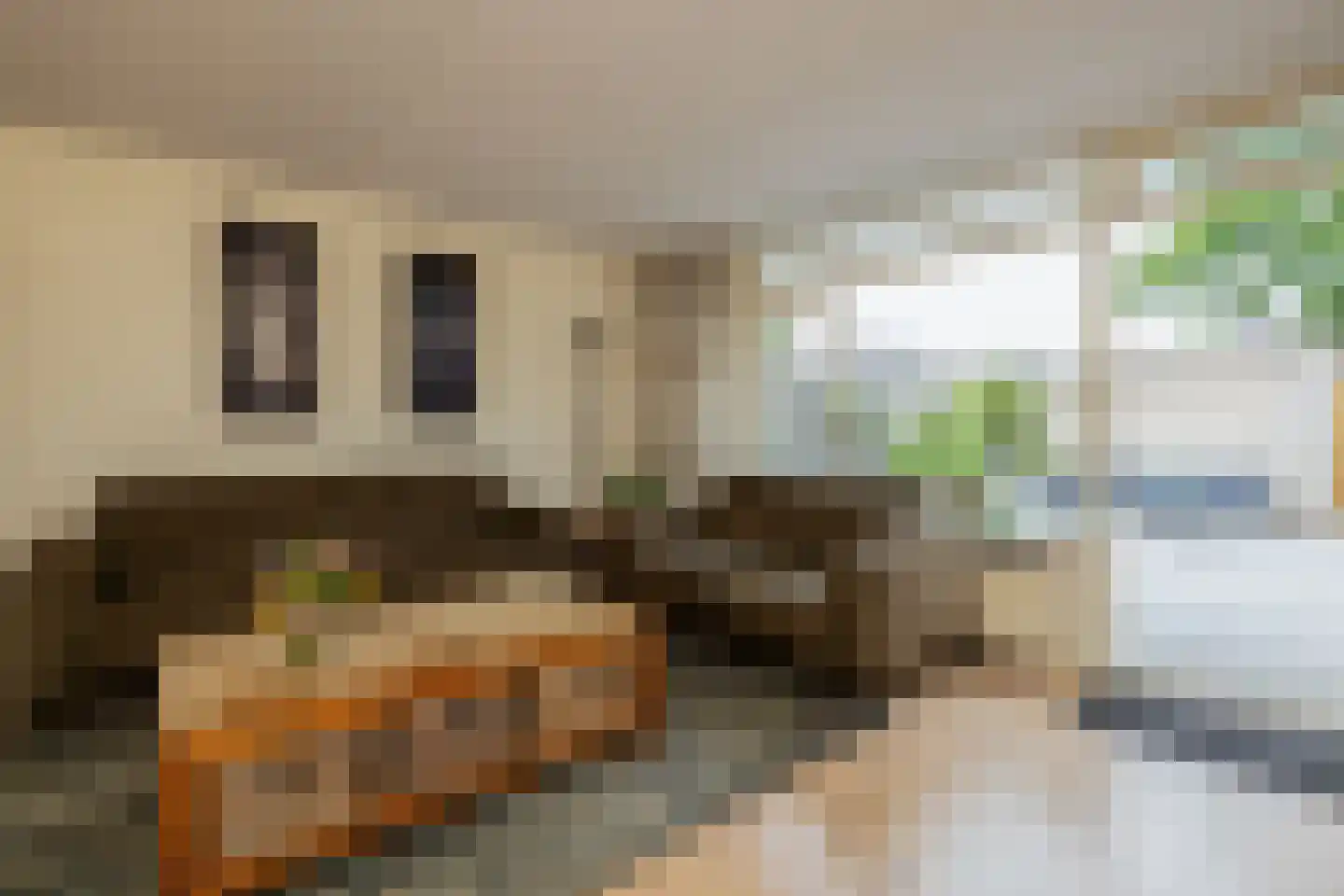 Achter de Dijk 4 Honselersdijk thumbnail 13