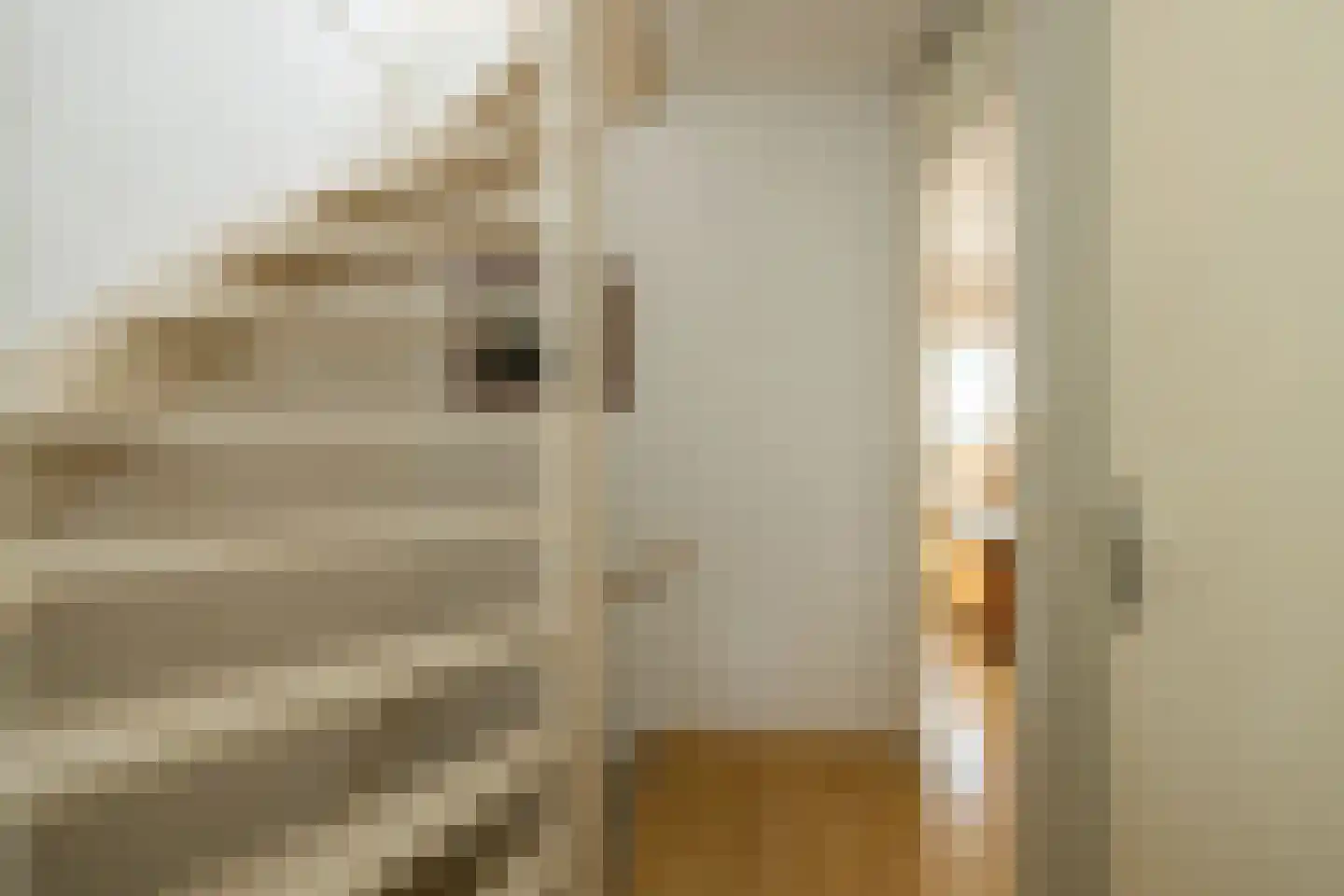 Achter de Dijk 4 Honselersdijk thumbnail 14