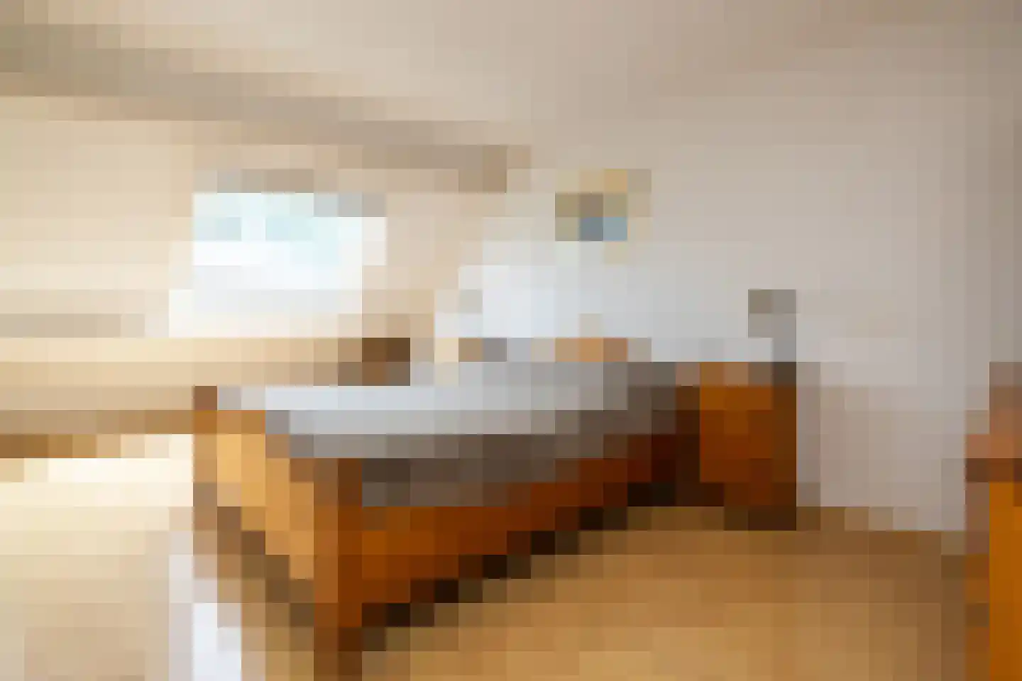 Achter de Dijk 4 Honselersdijk thumbnail 15