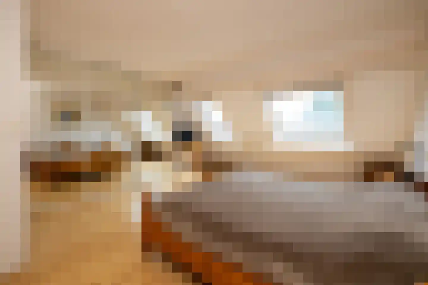 Achter de Dijk 4 Honselersdijk thumbnail 16
