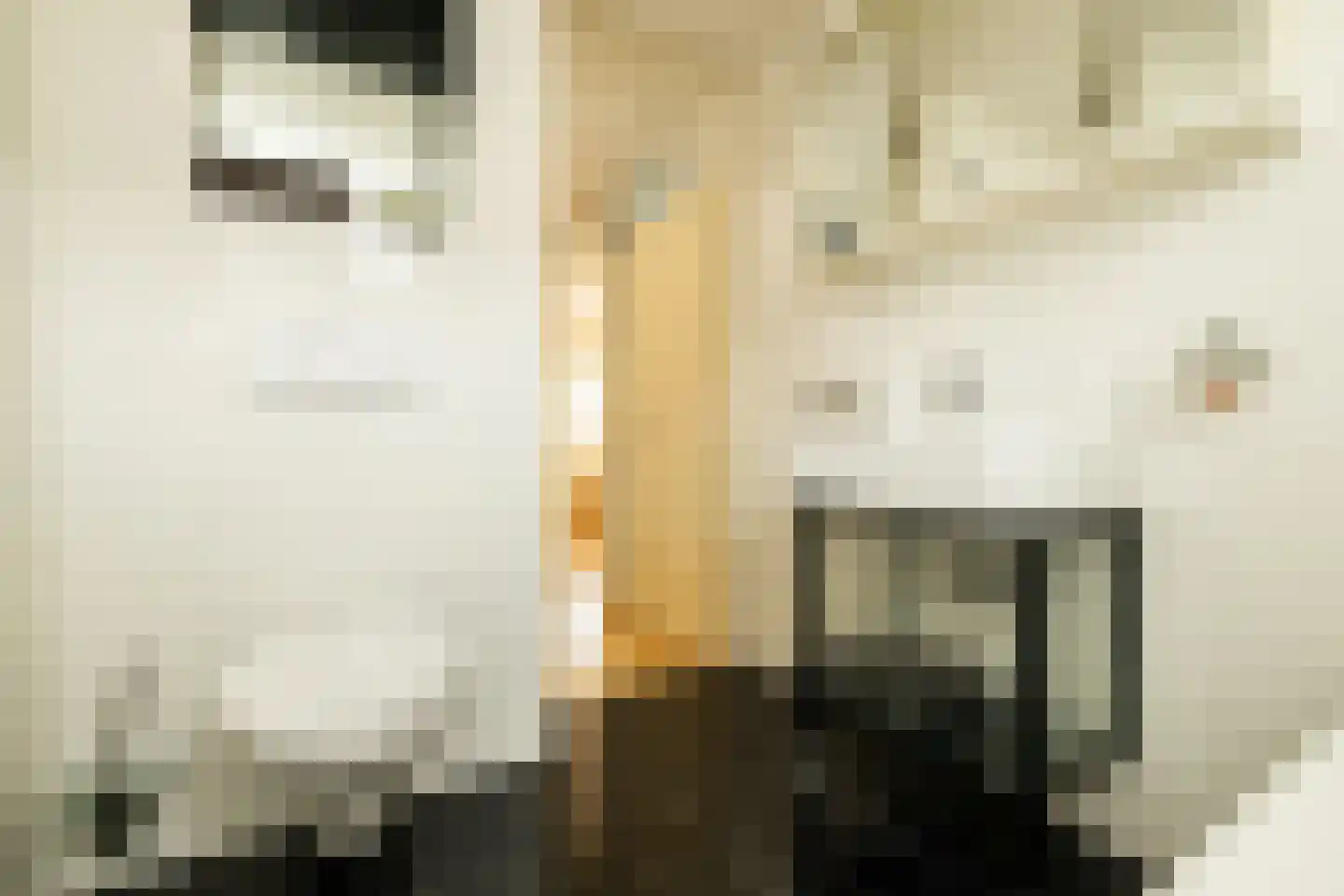 Achter de Dijk 4 Honselersdijk thumbnail 20