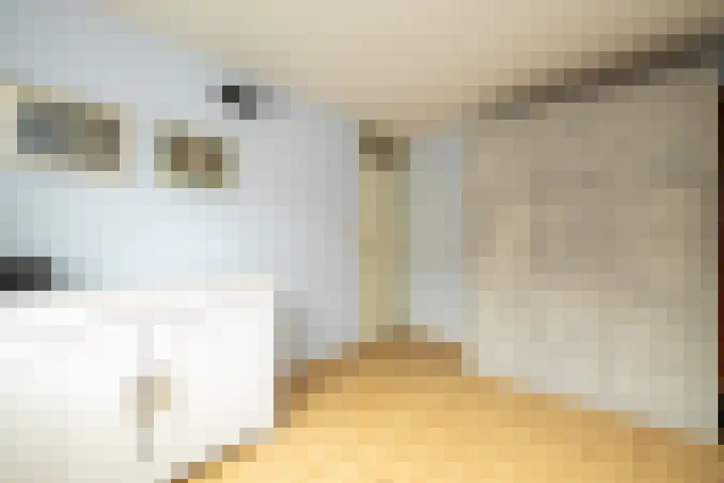 Achter de Dijk 4 Honselersdijk thumbnail 23