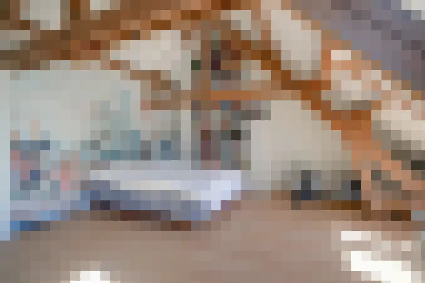 Achter de Dom 14 A Utrecht thumbnail 25