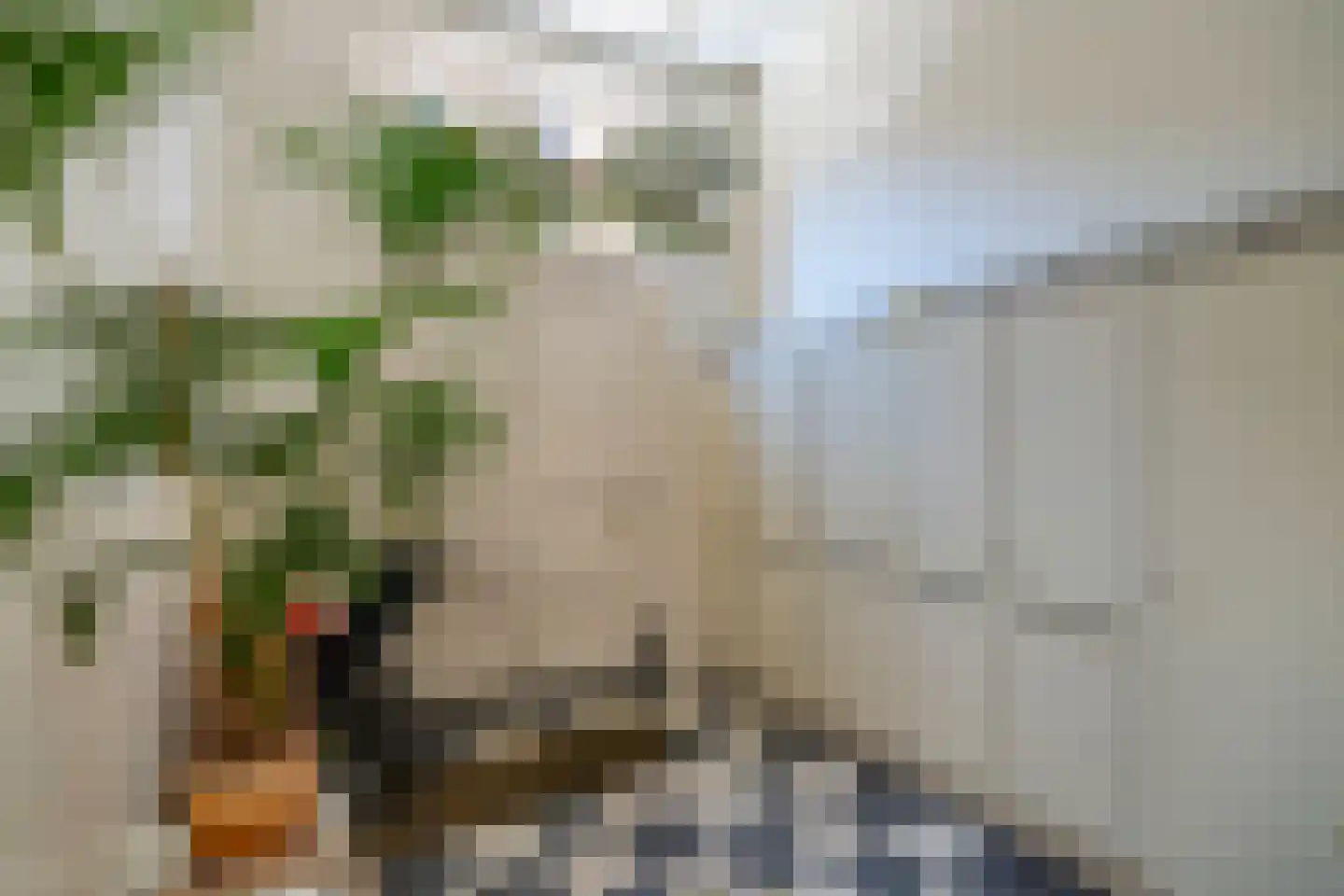 Achter de Dom 14 A Utrecht thumbnail 5