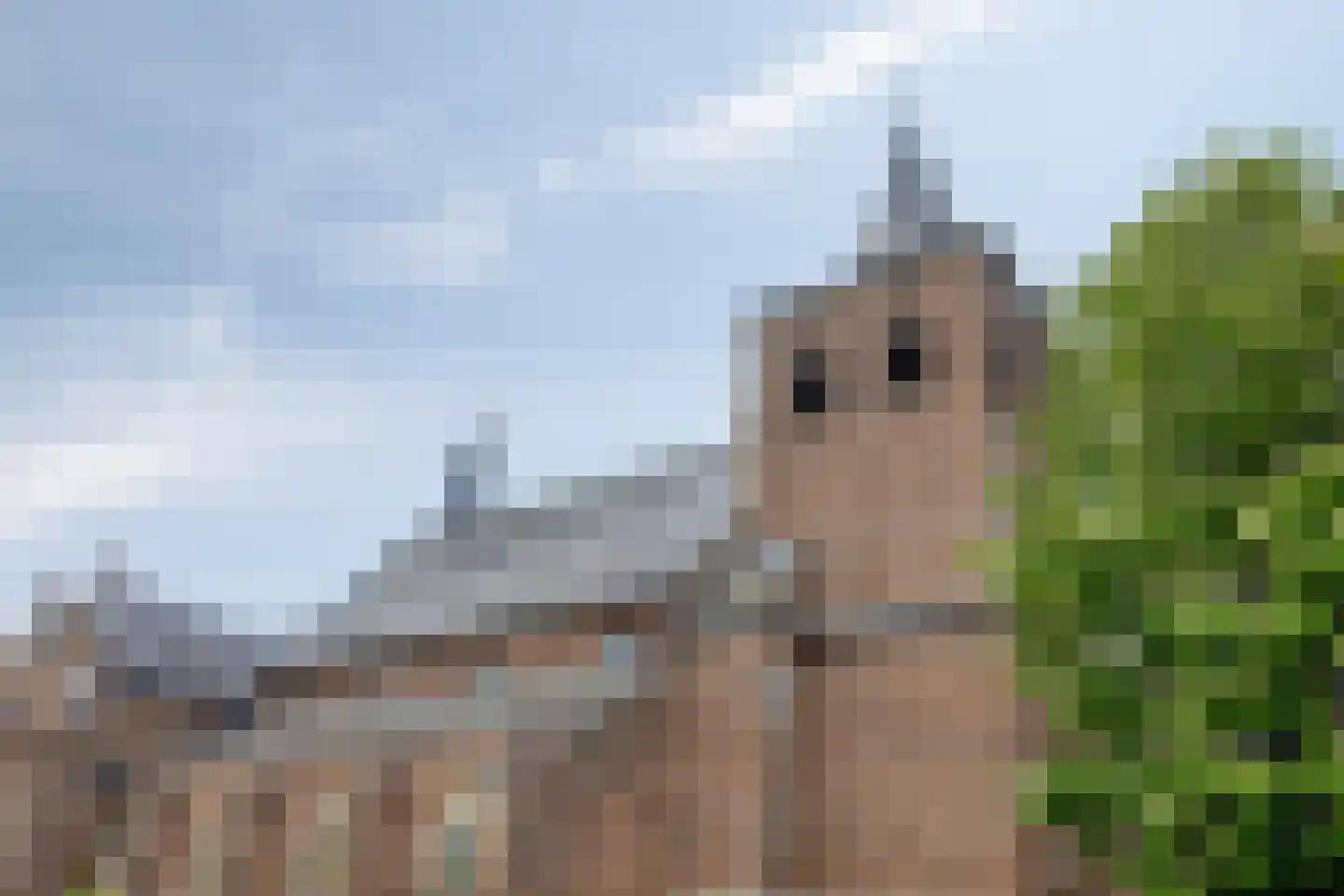 Achter de Driesprong 17 Rosmalen thumbnail 26