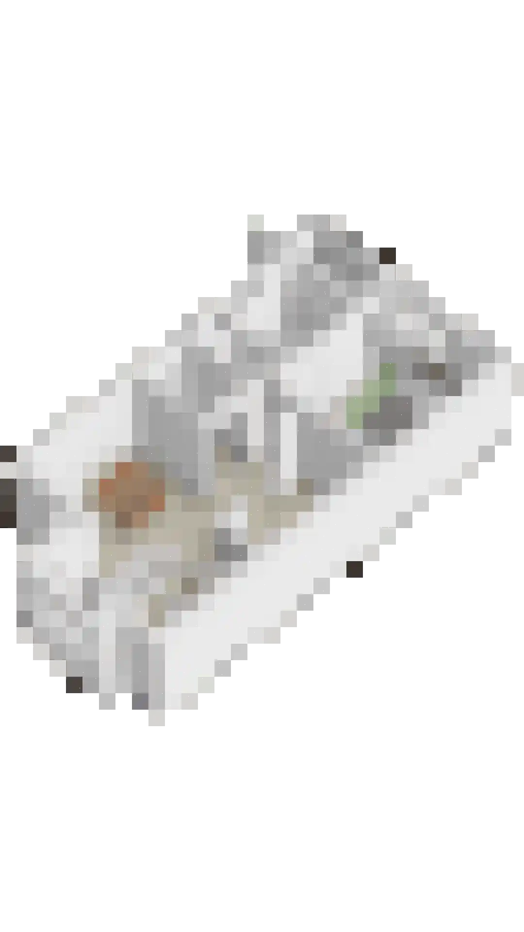 Achter de Driesprong 17 Rosmalen thumbnail 31
