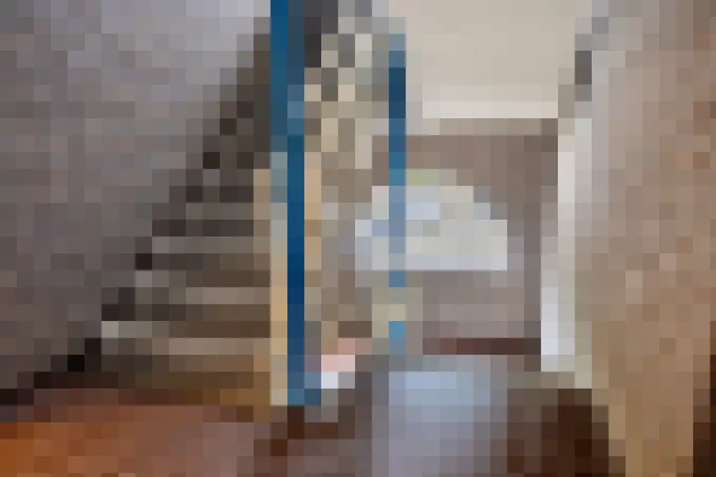 Achter de Driesprong 17 Rosmalen thumbnail 7