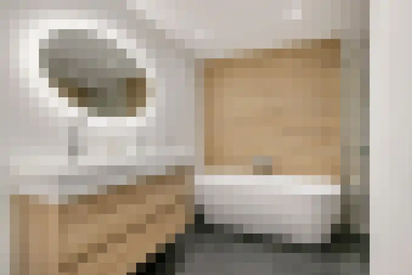 Achter de Gracht 6 Huissen thumbnail 17