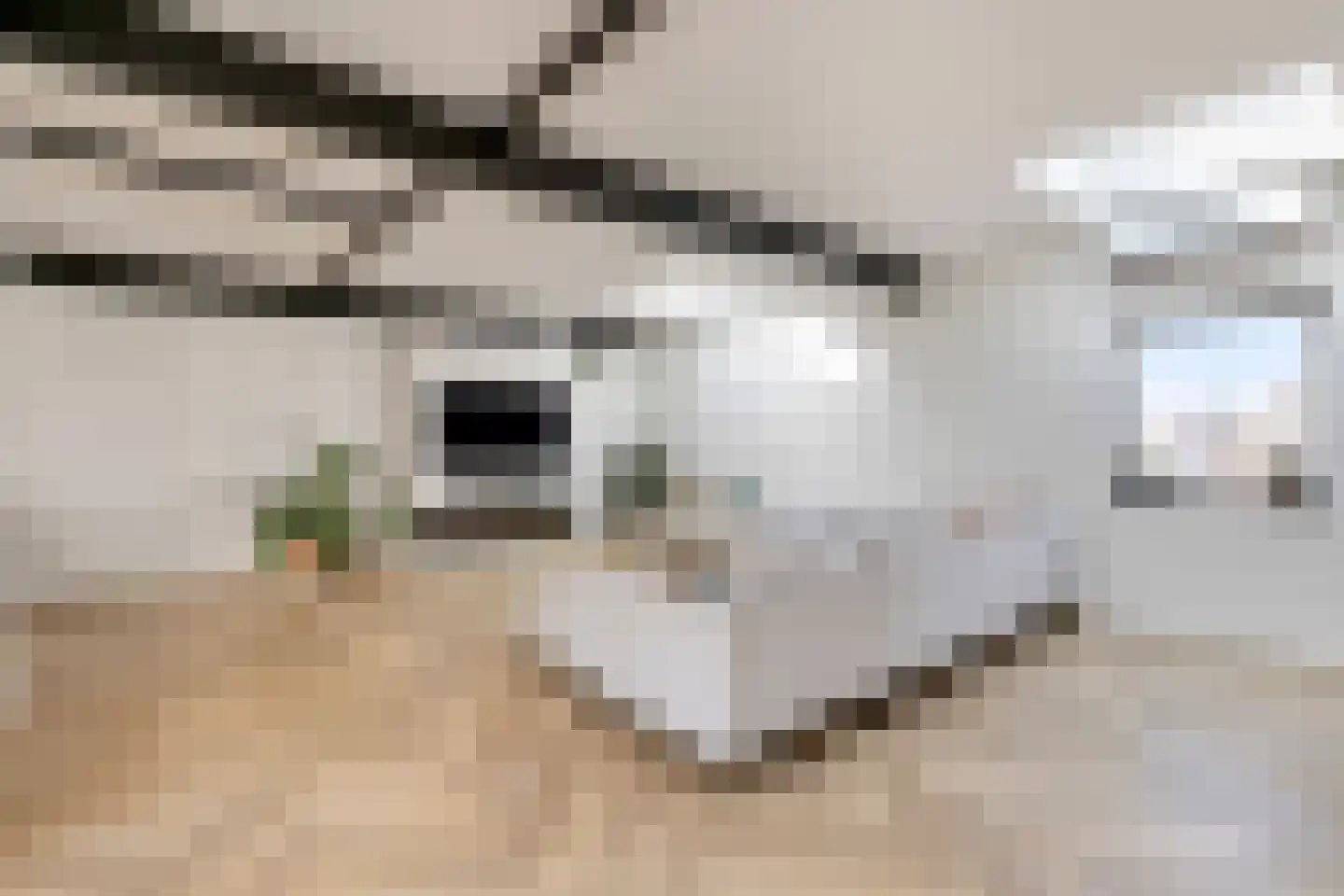 Achter de Gracht 6 Huissen thumbnail 9