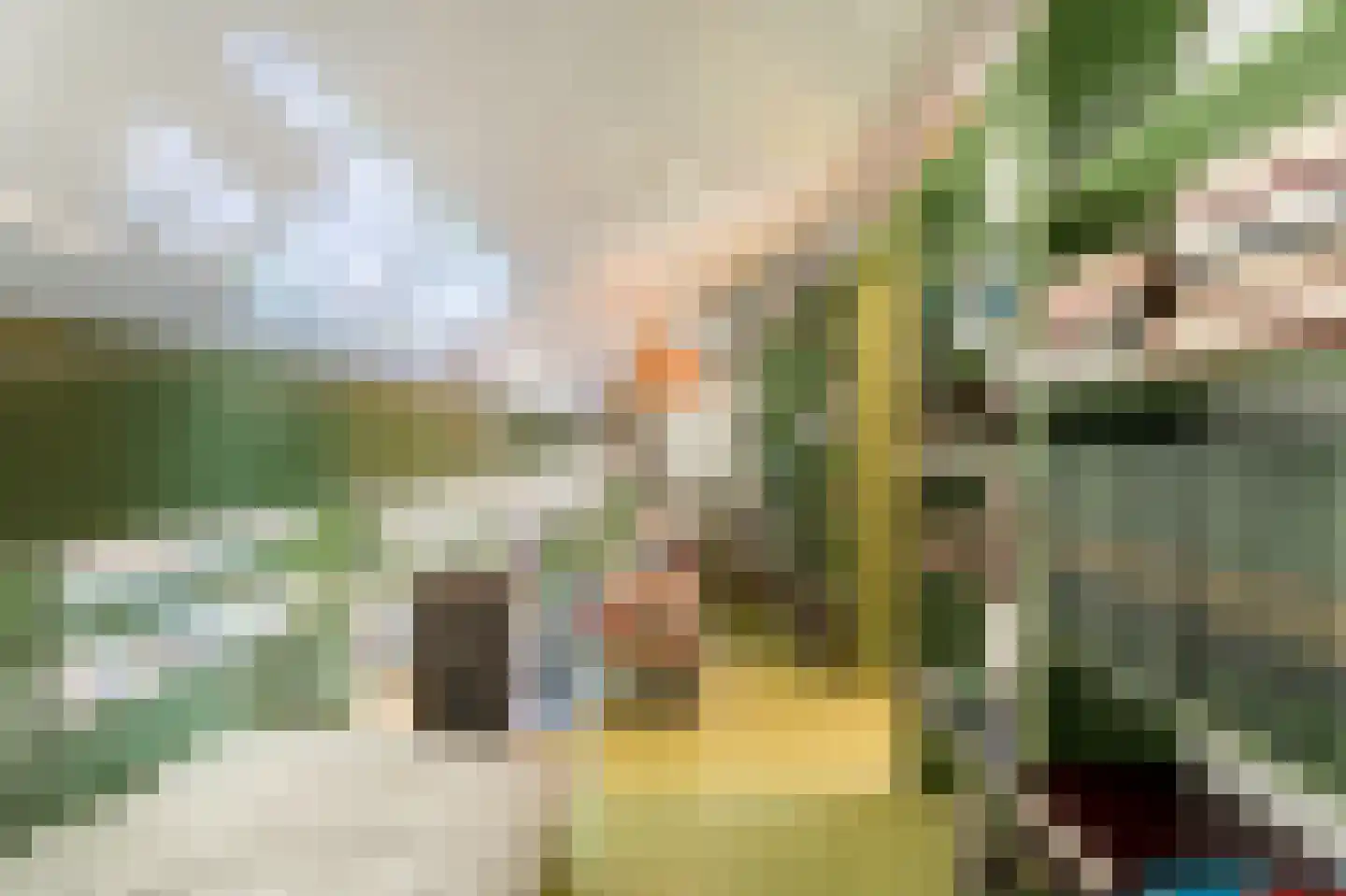 Achter de Graef 1 Wessem thumbnail 23