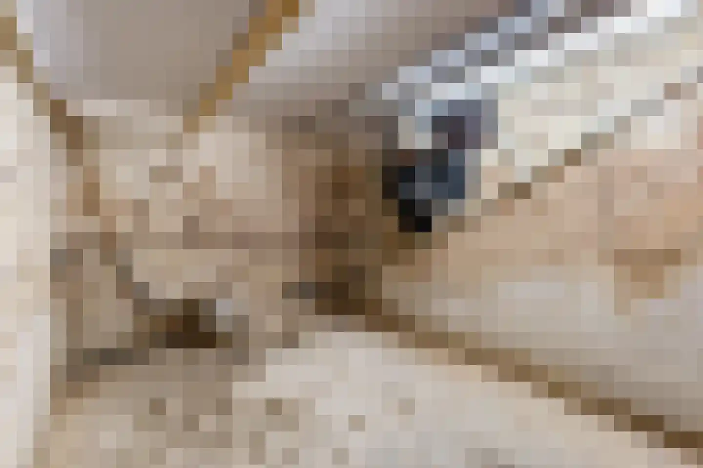 Achter de Graef 1 Wessem thumbnail 29