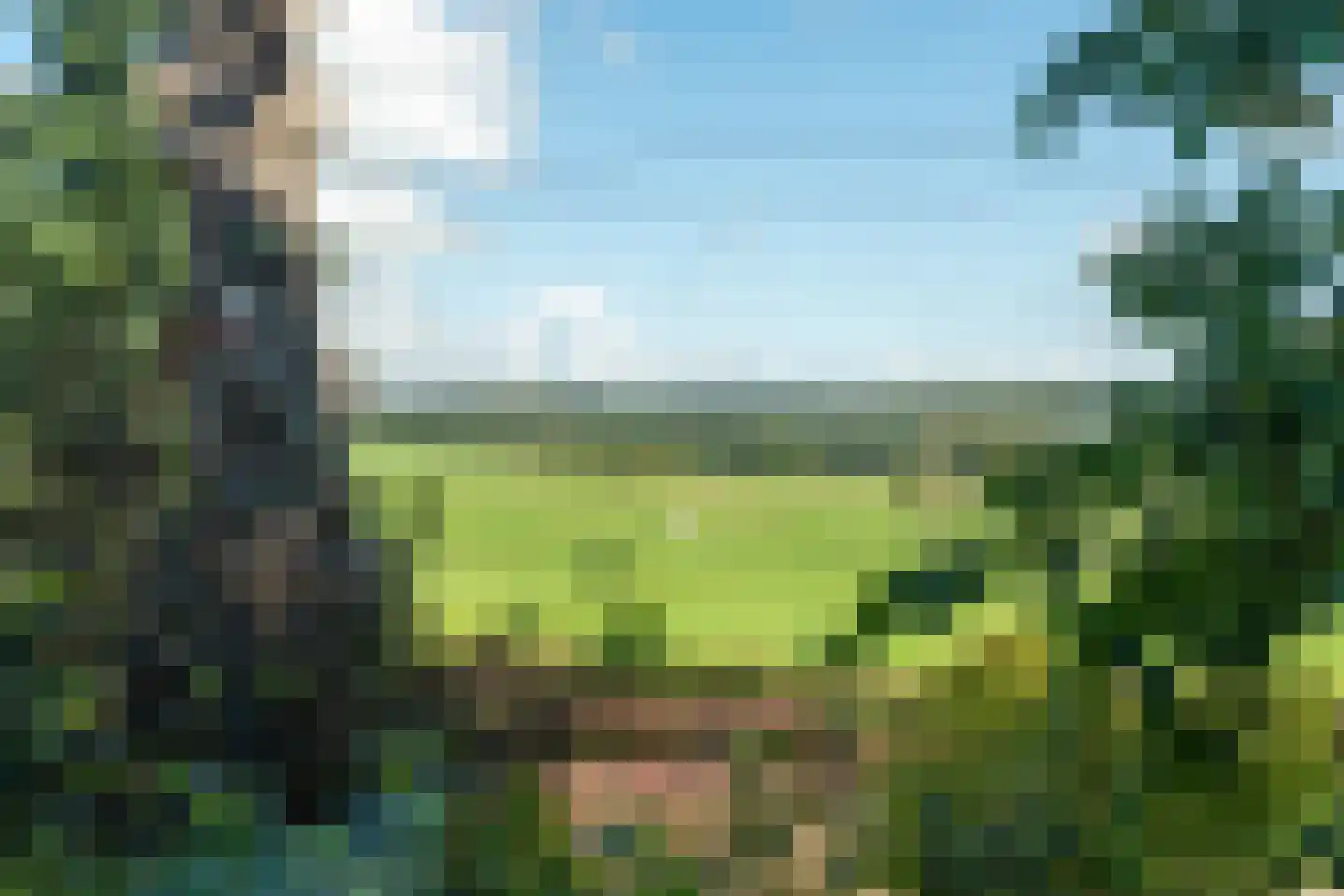 Achter de Graef 1 Wessem thumbnail 30