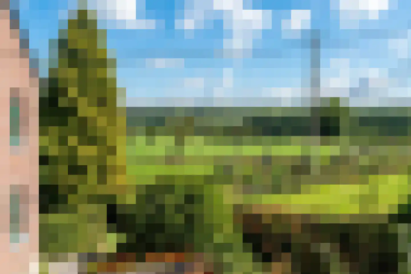 Achter de Graef 1 Wessem thumbnail 31