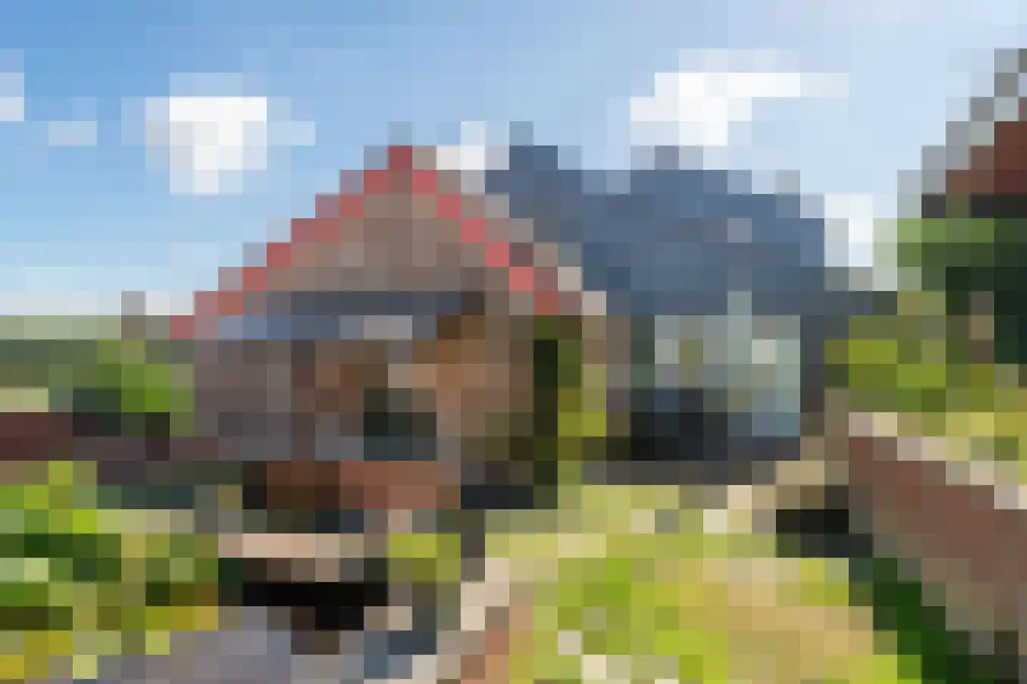 Achter de Graef 1 Wessem thumbnail 35