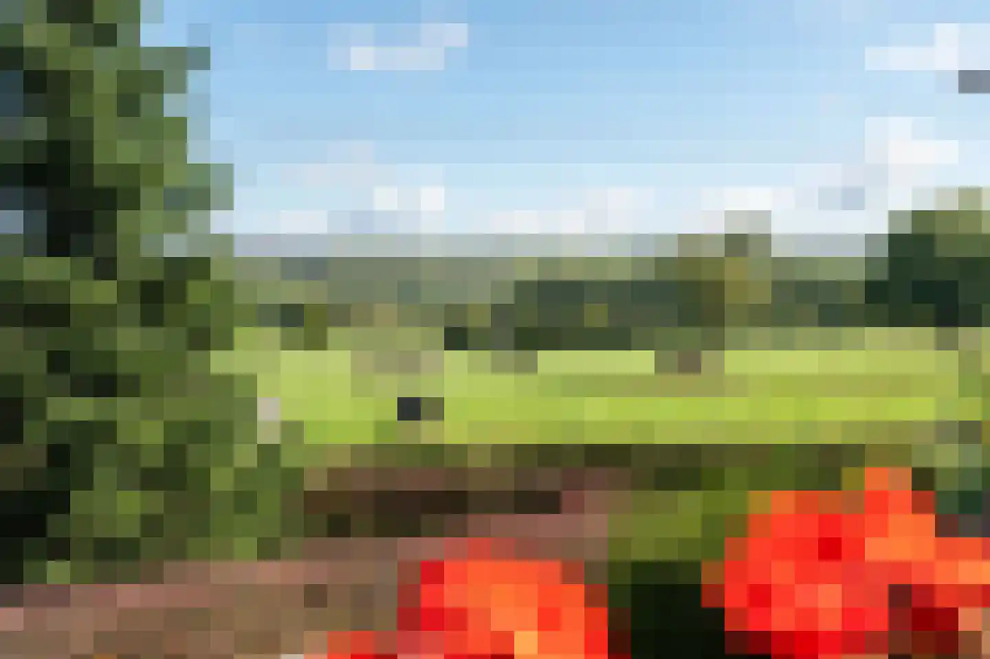 Achter de Graef 1 Wessem thumbnail 37