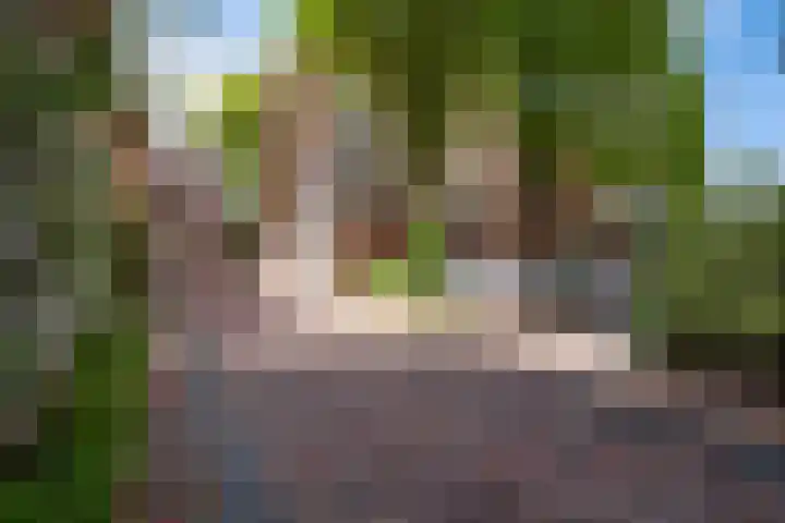 Achter de Grote Kerk 25 Leeuwarden thumbnail 11