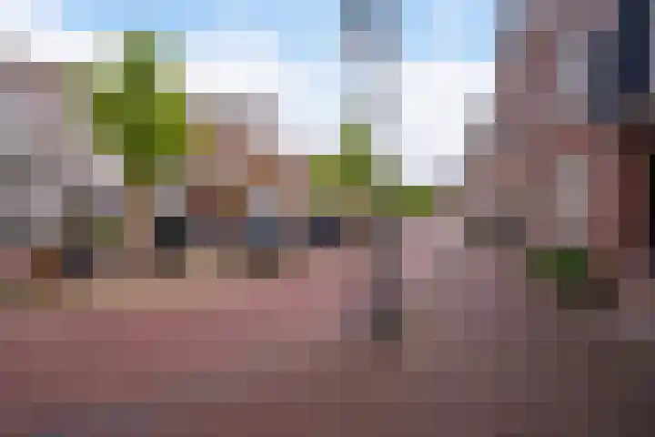Achter de Grote Kerk 25 Leeuwarden thumbnail 12