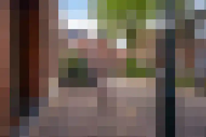 Achter de Grote Kerk 25 Leeuwarden thumbnail 13