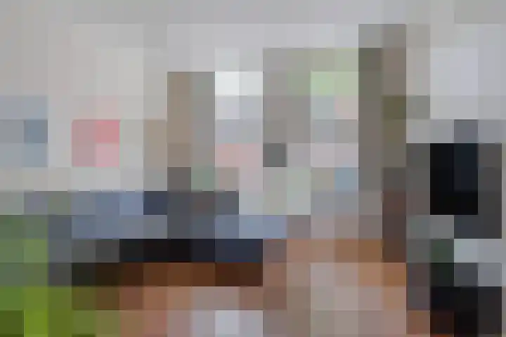 Achter de Grote Kerk 25 Leeuwarden thumbnail 17