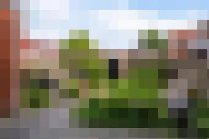 Achter de Grote Kerk 25 Leeuwarden thumbnail 25