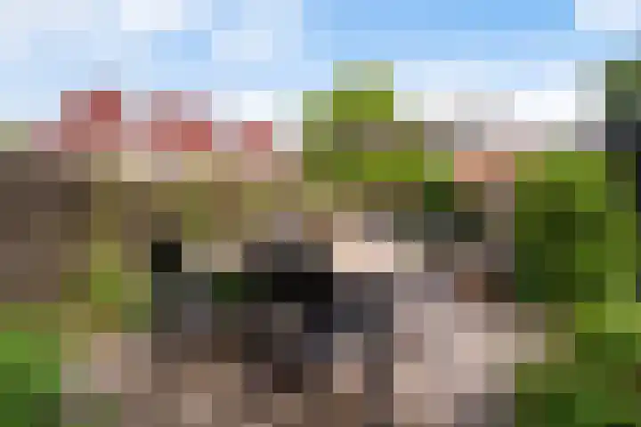 Achter de Grote Kerk 25 Leeuwarden thumbnail 26