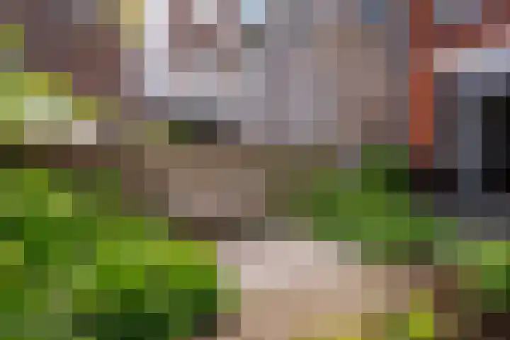 Achter de Grote Kerk 25 Leeuwarden thumbnail 28