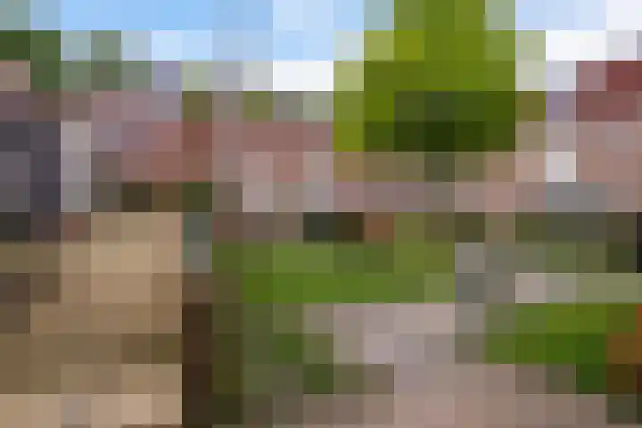 Achter de Grote Kerk 25 Leeuwarden thumbnail 31