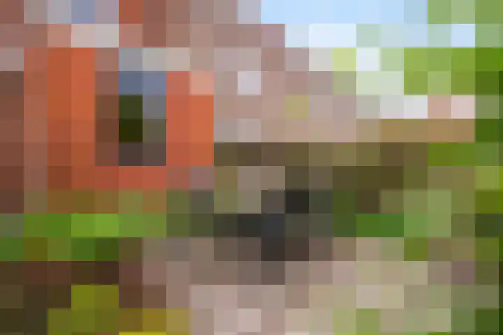 Achter de Grote Kerk 25 Leeuwarden thumbnail 33