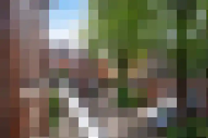 Achter de Grote Kerk 25 Leeuwarden thumbnail 44